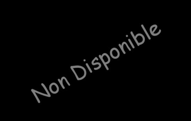 Rubi, colombienne sexy - Escort Paris